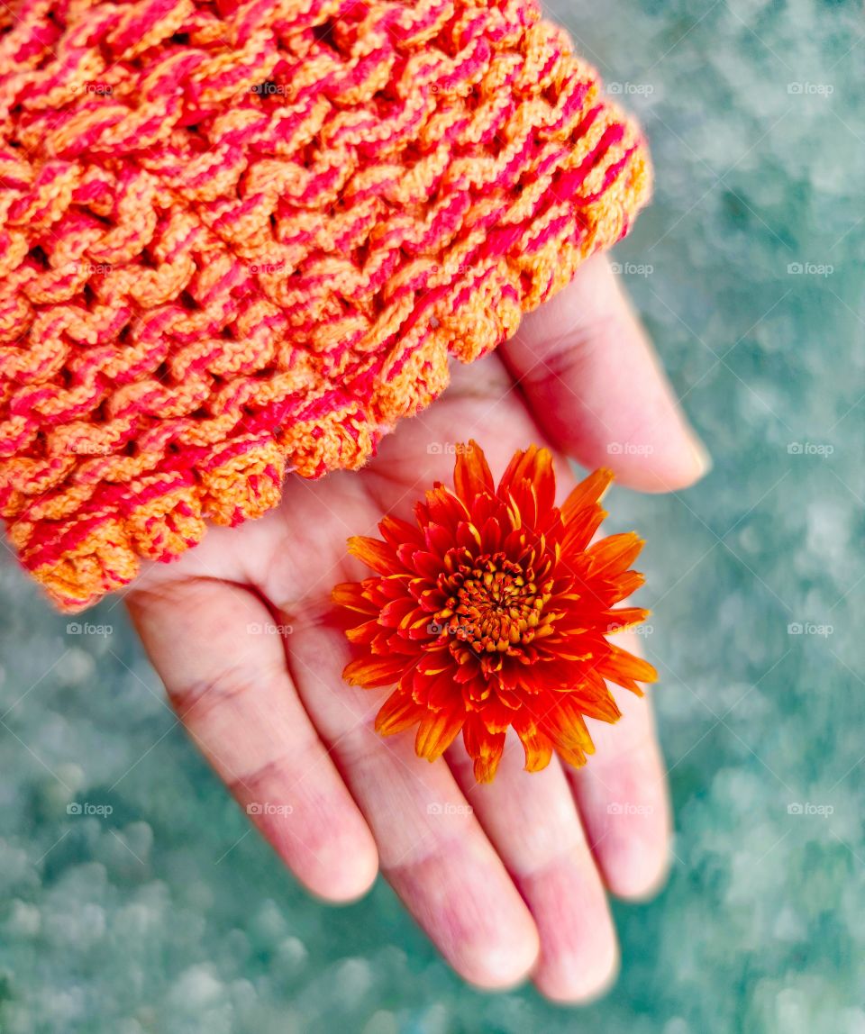 Autumn flora in hand