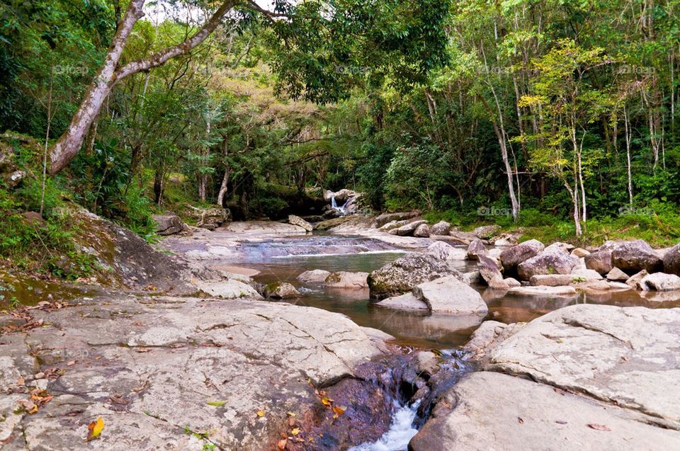 River stream in Brazil