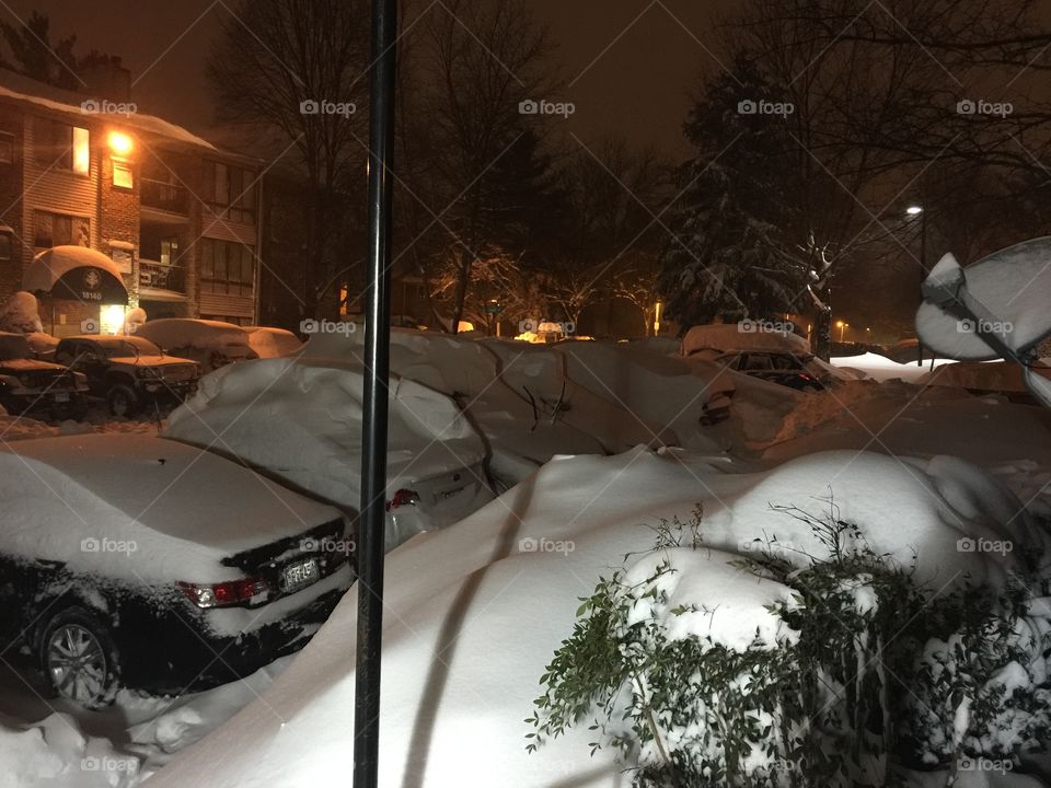 Snow, Winter, Weather, People, Cold