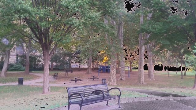 Park Bench