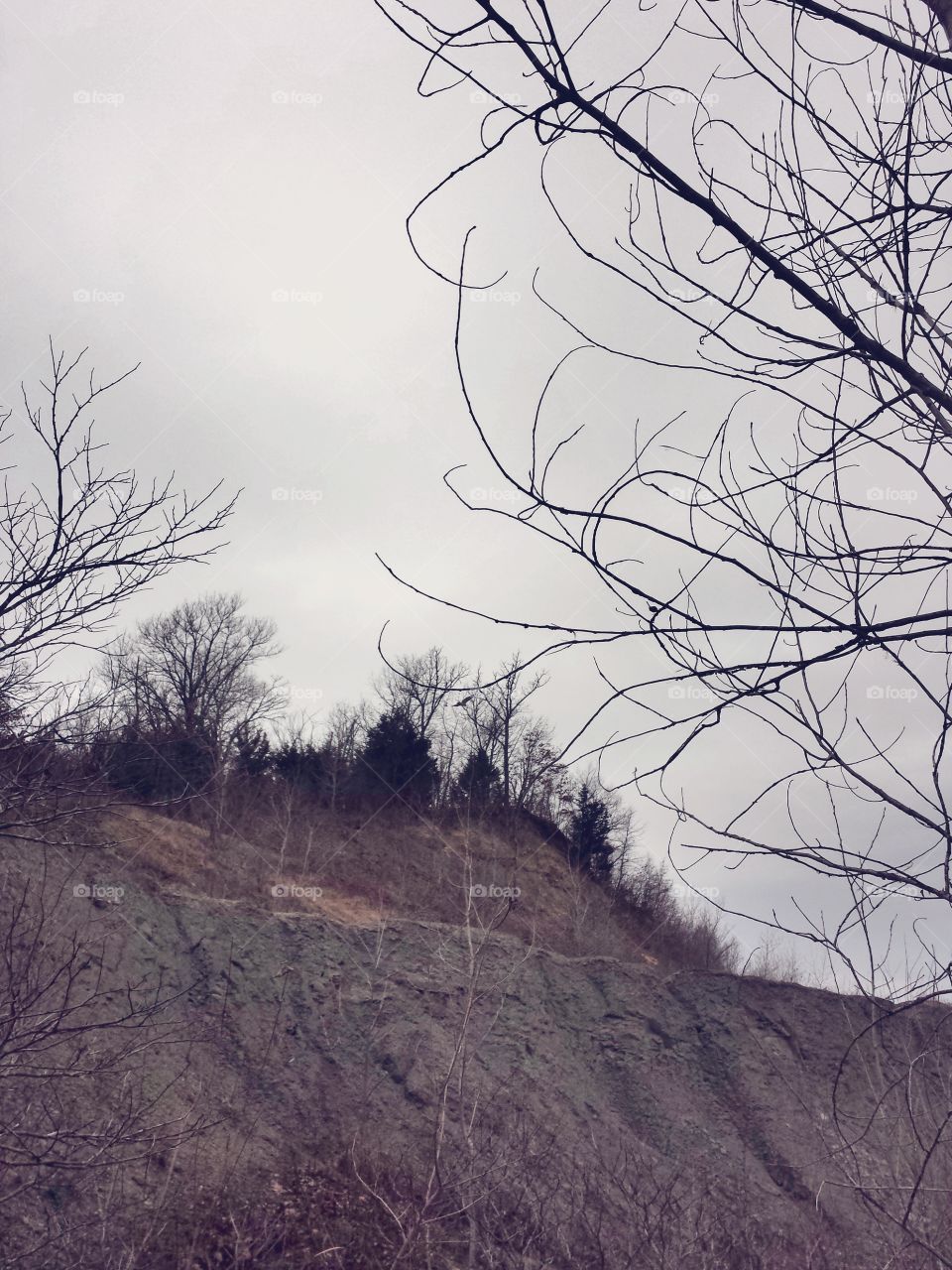 Minter Hill Exposed Ridge