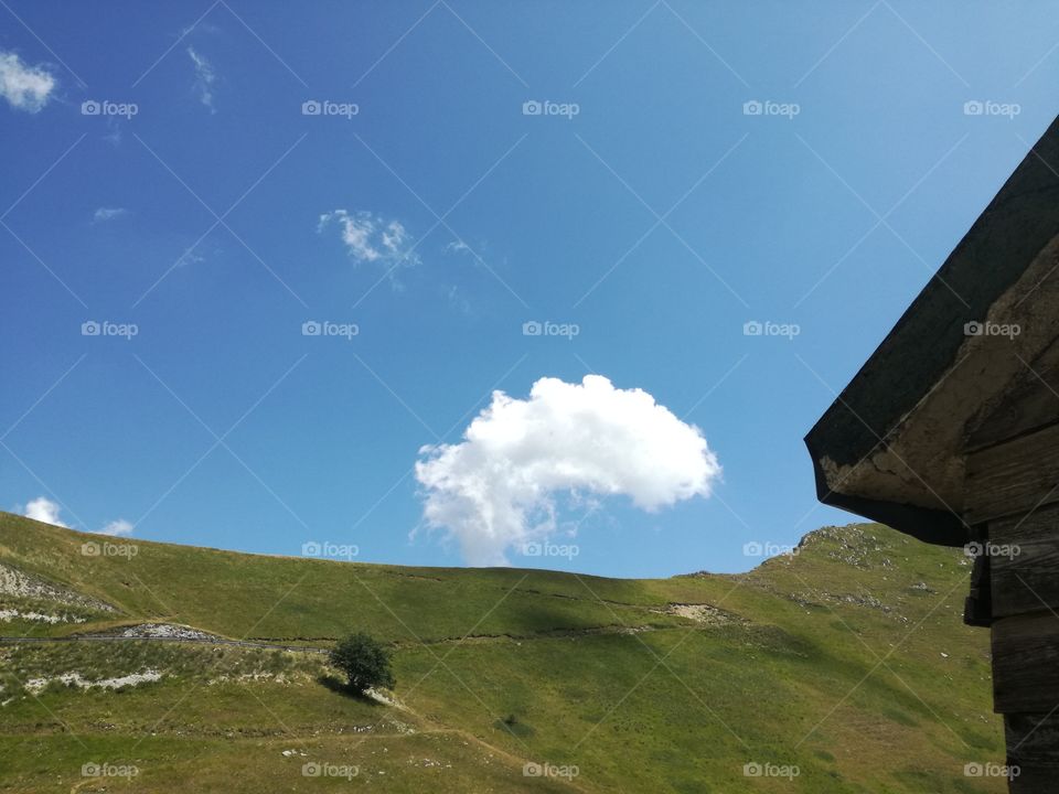 A cloud in the summer sky