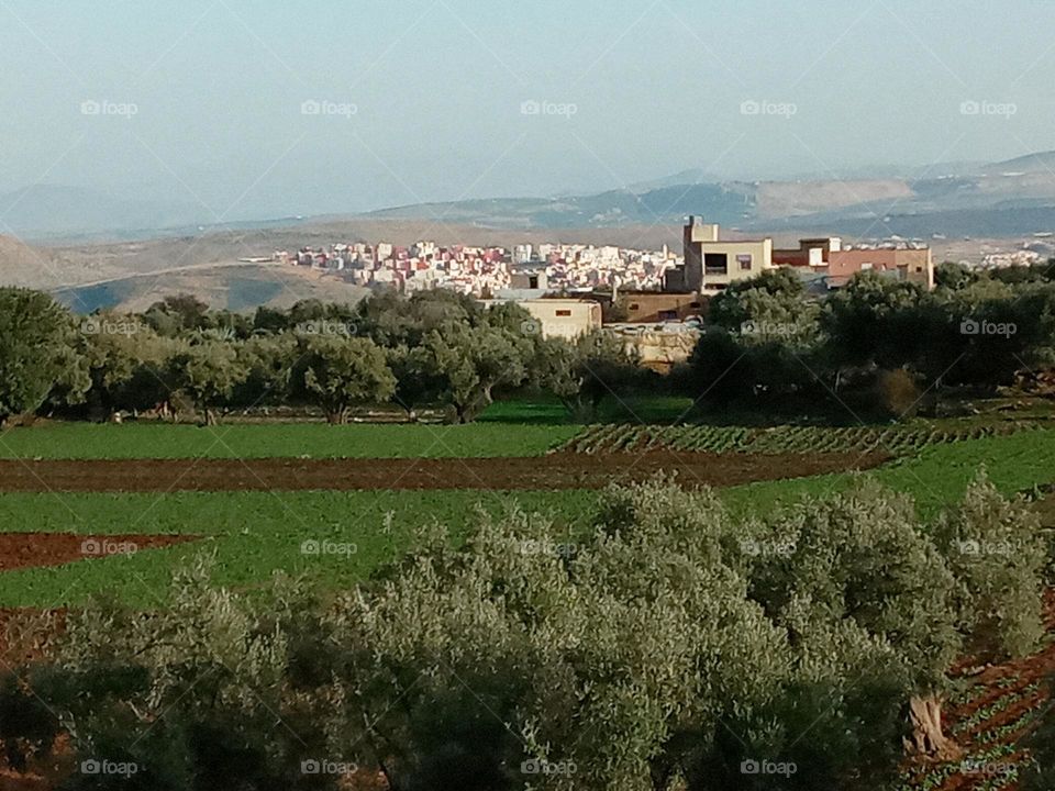 Population between the nature