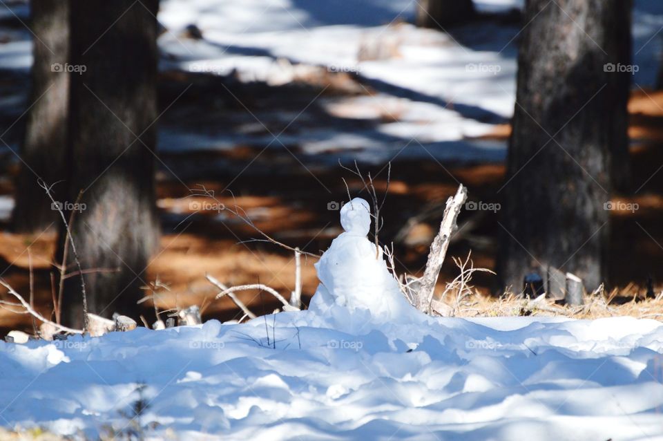 snowman winter time in the Sierra mountains