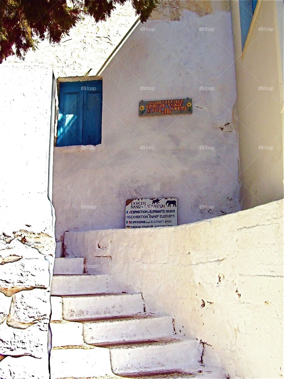 The dwarf elephant museum at Tilos island