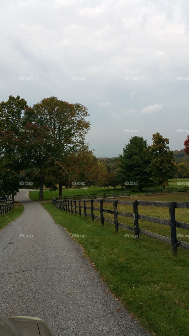 tree beautiful outside. :)