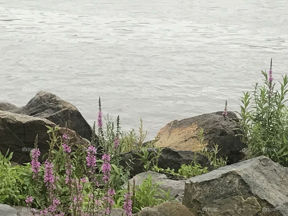 Raining in the water. 