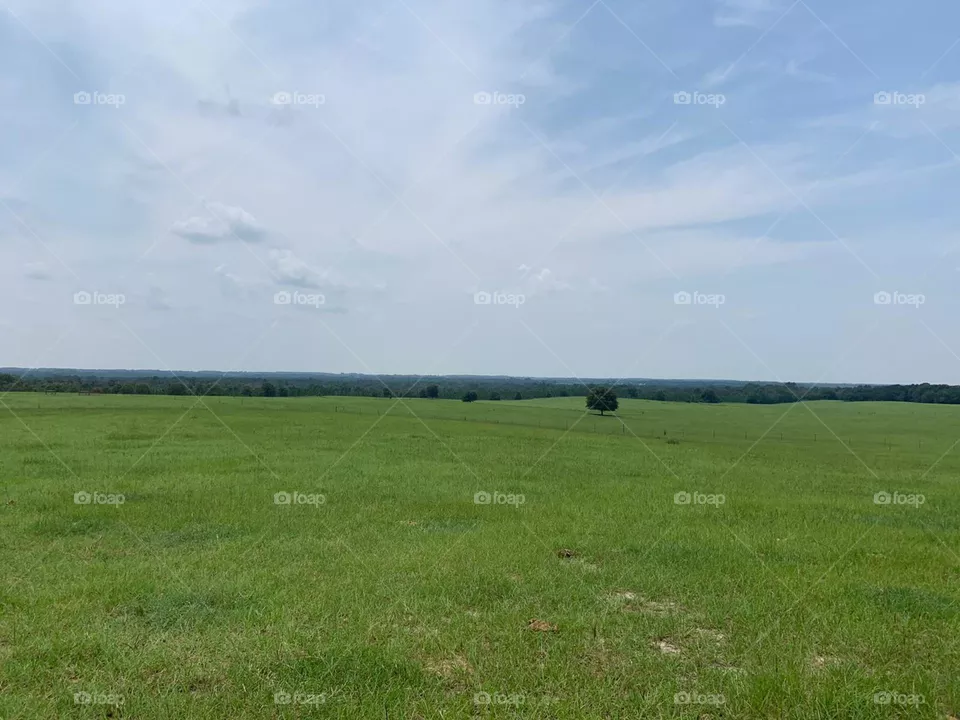 Farm