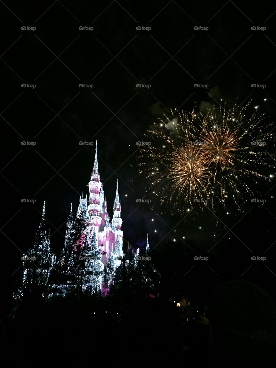 Fireworks at Disney 