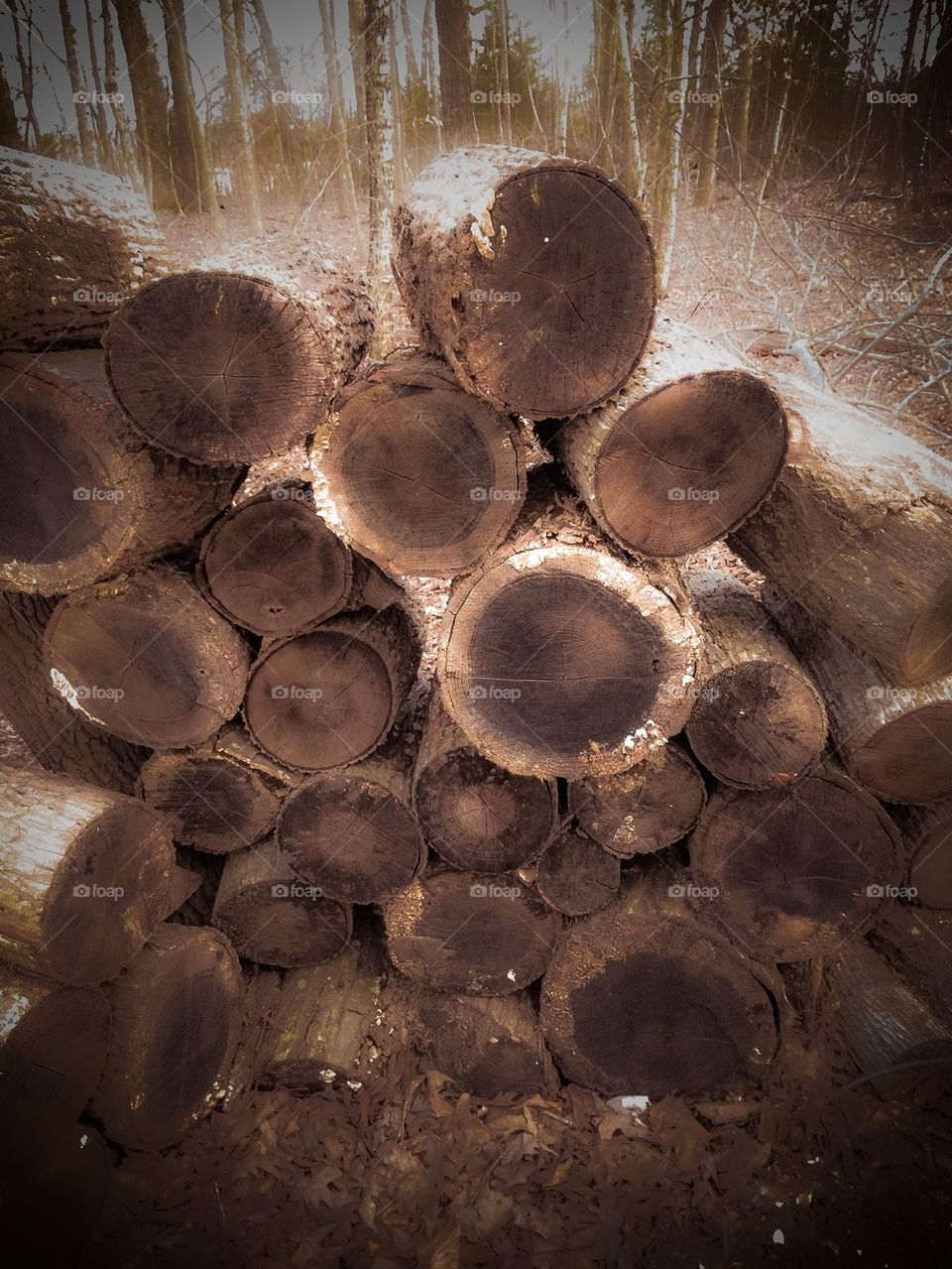 Wood stack