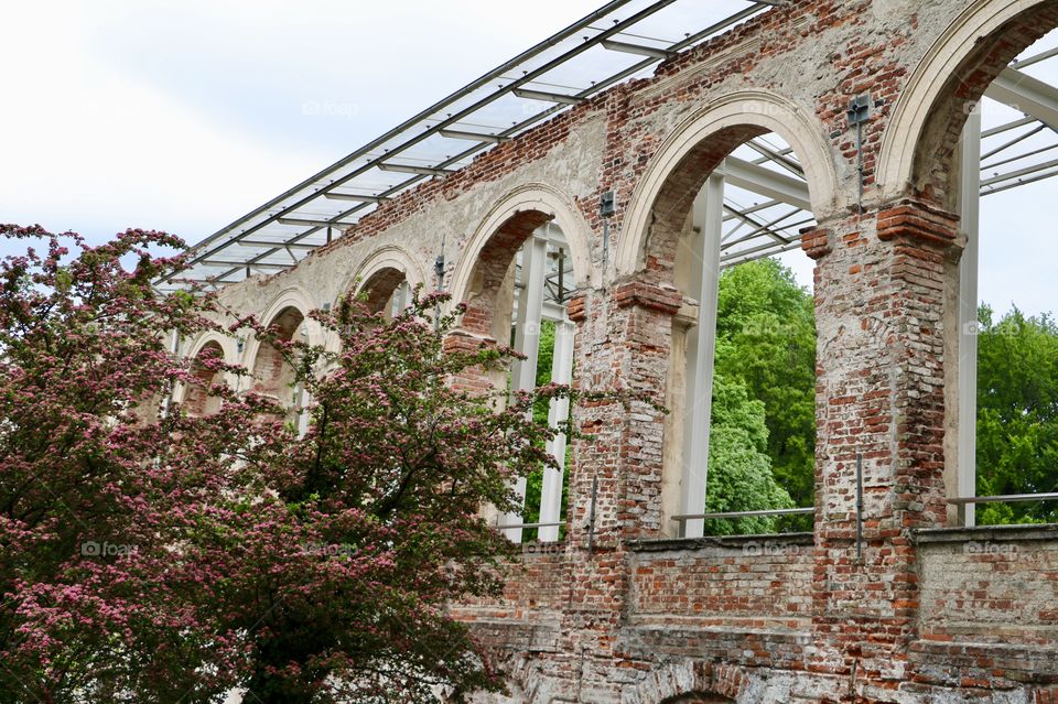 Spring time in bloom.