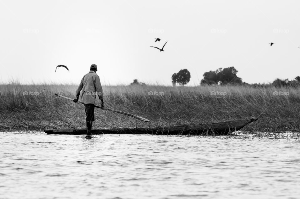From work to home in a boat on the Zambezi river. Black and white image of man travelling on mokoro boat in Botswana.