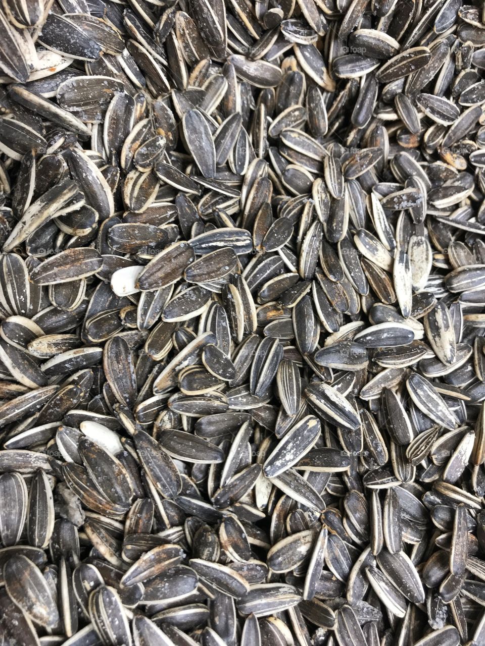 Sunflower seeds on display 