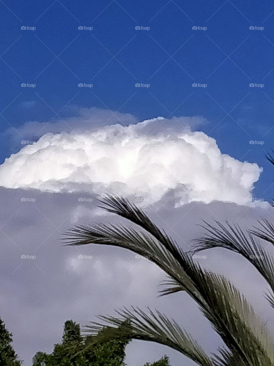 An hour between winter and summer