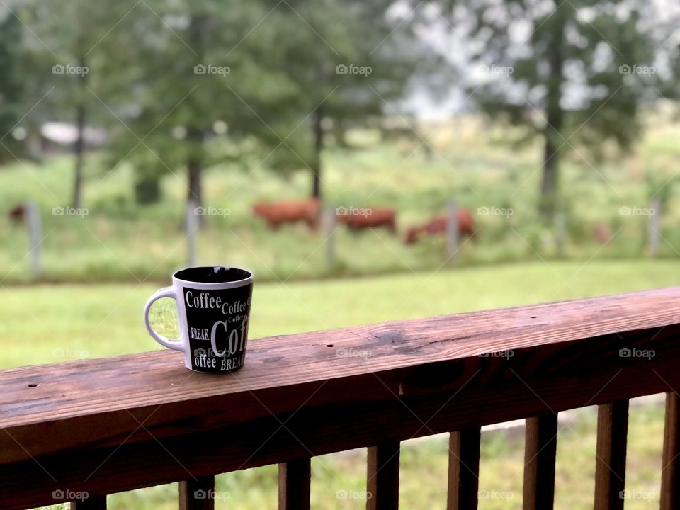 Coffee mug porch wooden railing pasture cows trees