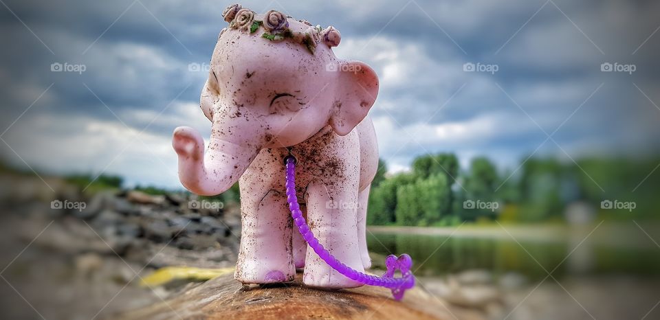 Strandgut Koblenz Germany