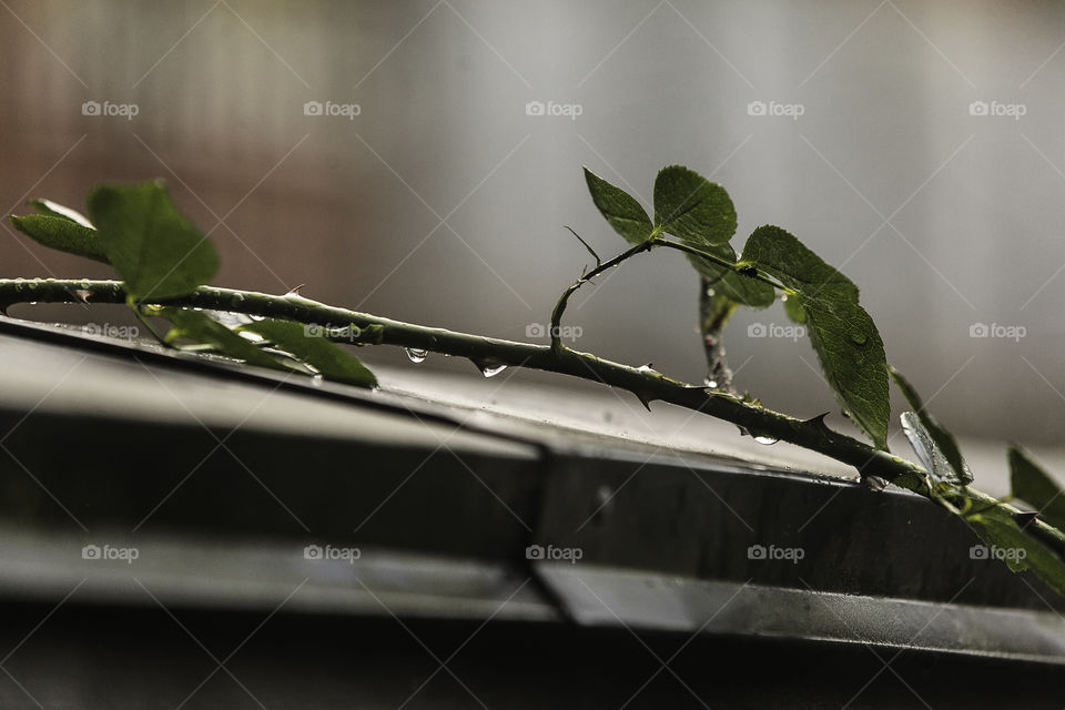 Some poems was meant to be broken