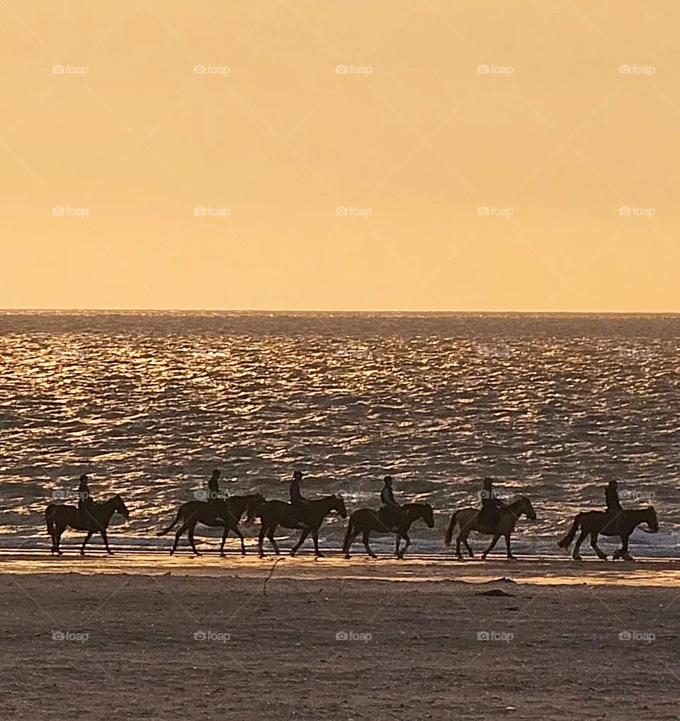 Horses on Deauville beach