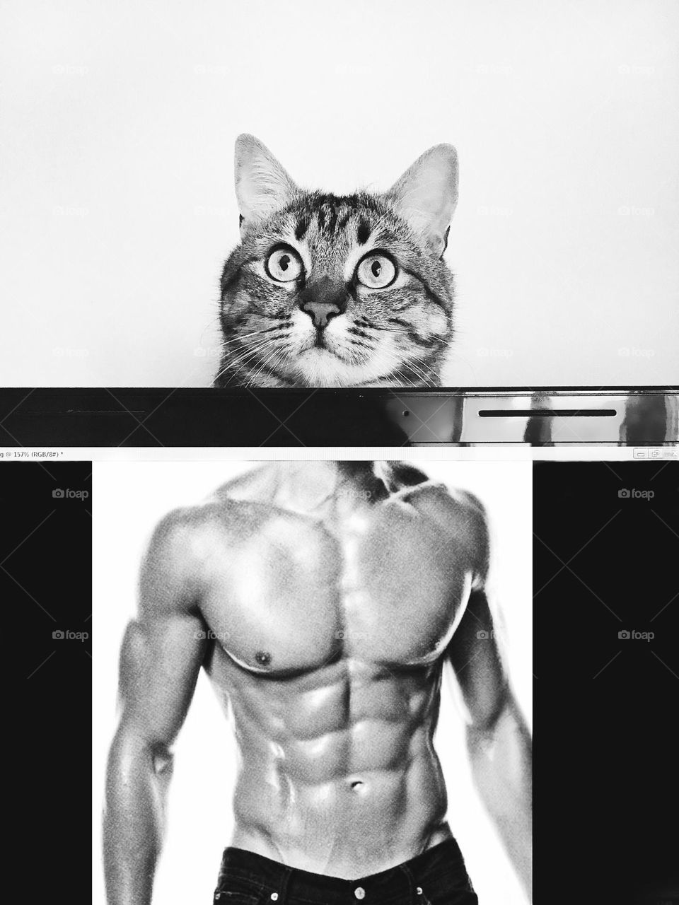 Cute photo with cat. Strong body