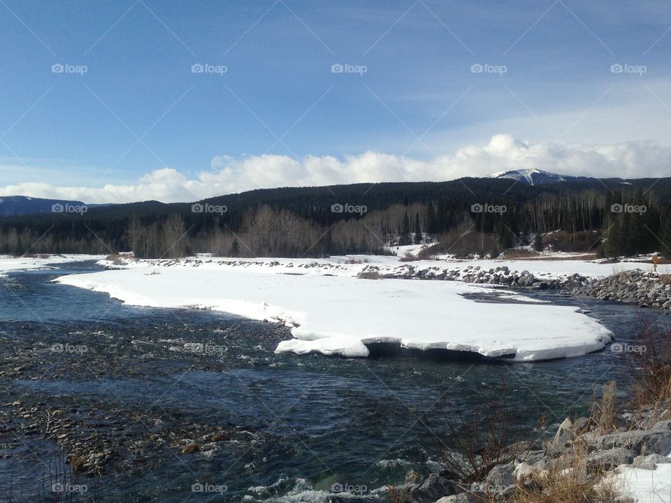 Elbow River, Nature