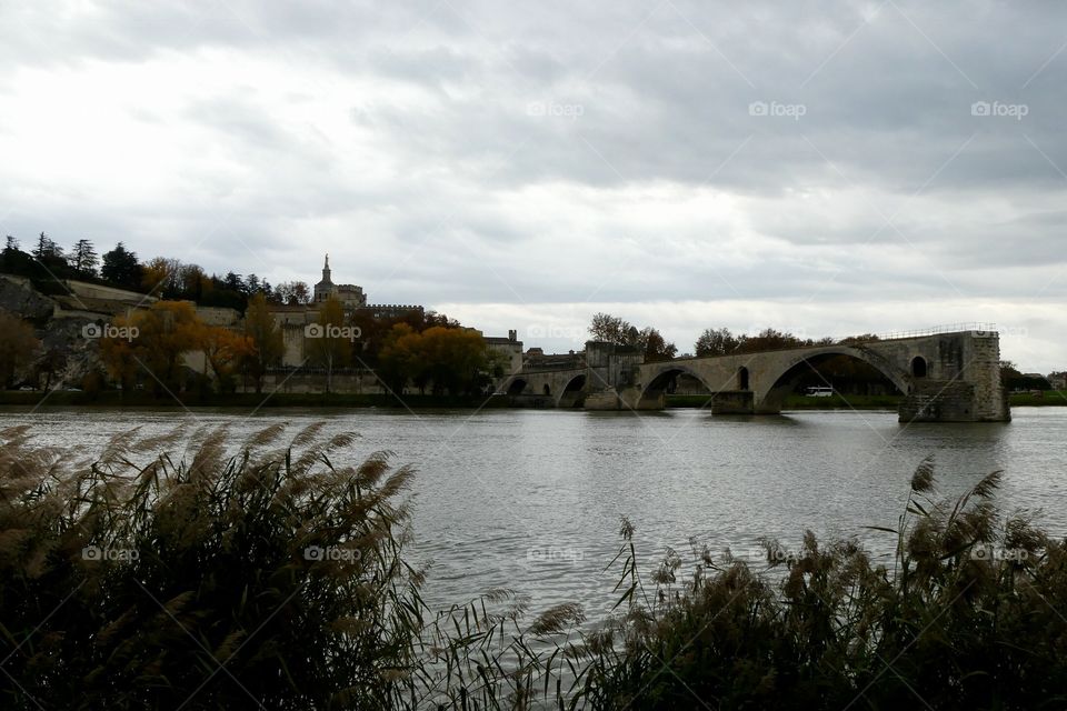 Avignon 