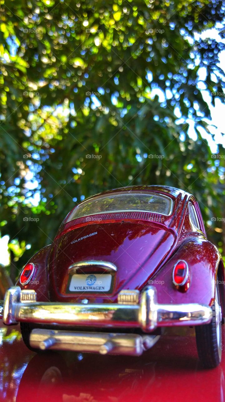 Fusca vinho carro car wine