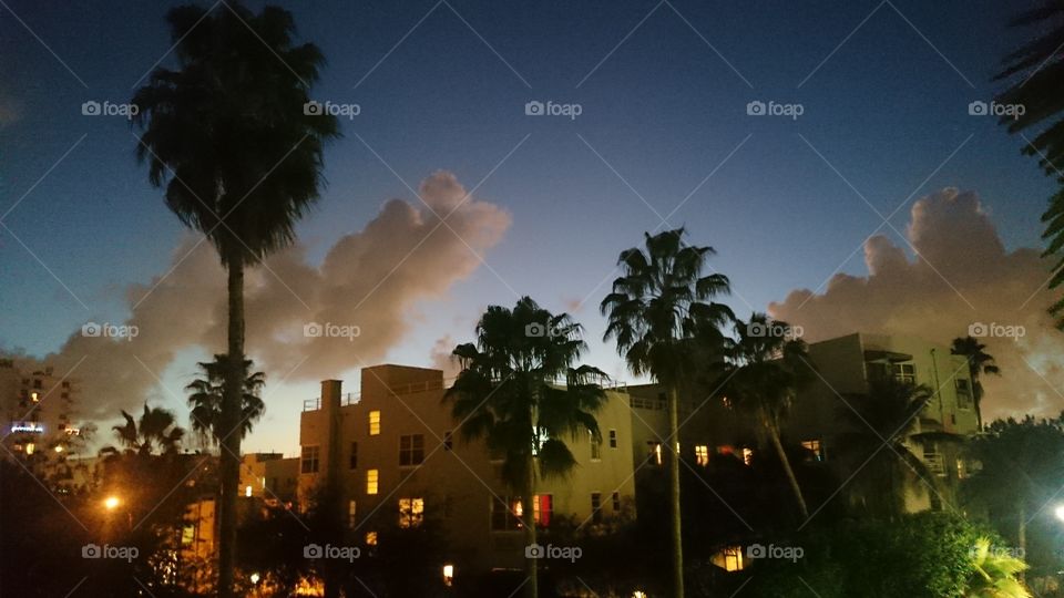 South beach from my window