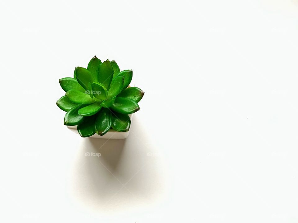 Mini artificial plant pot