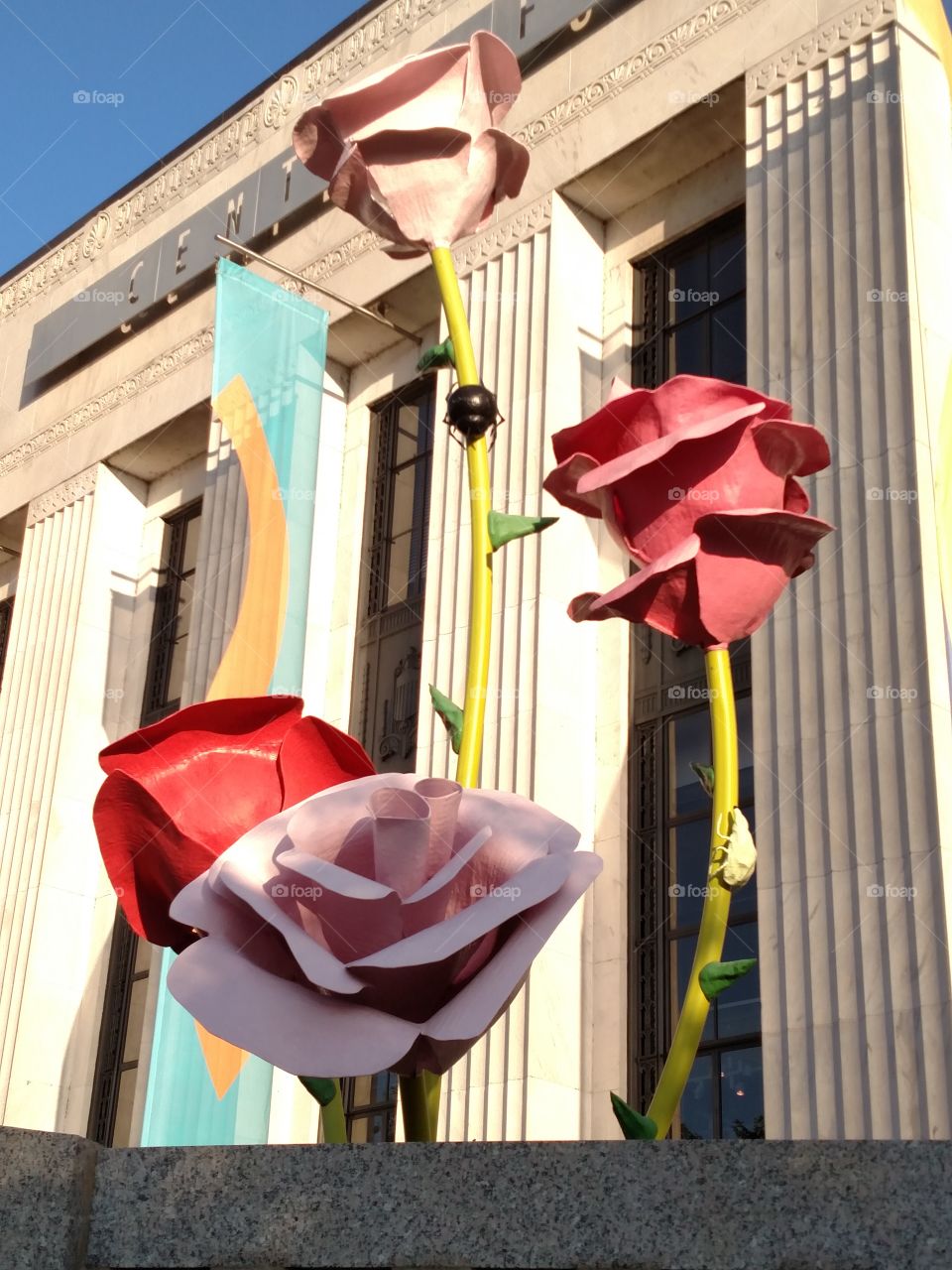 Roses Street Art in Nashville