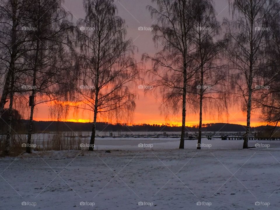 Winter landscape! 