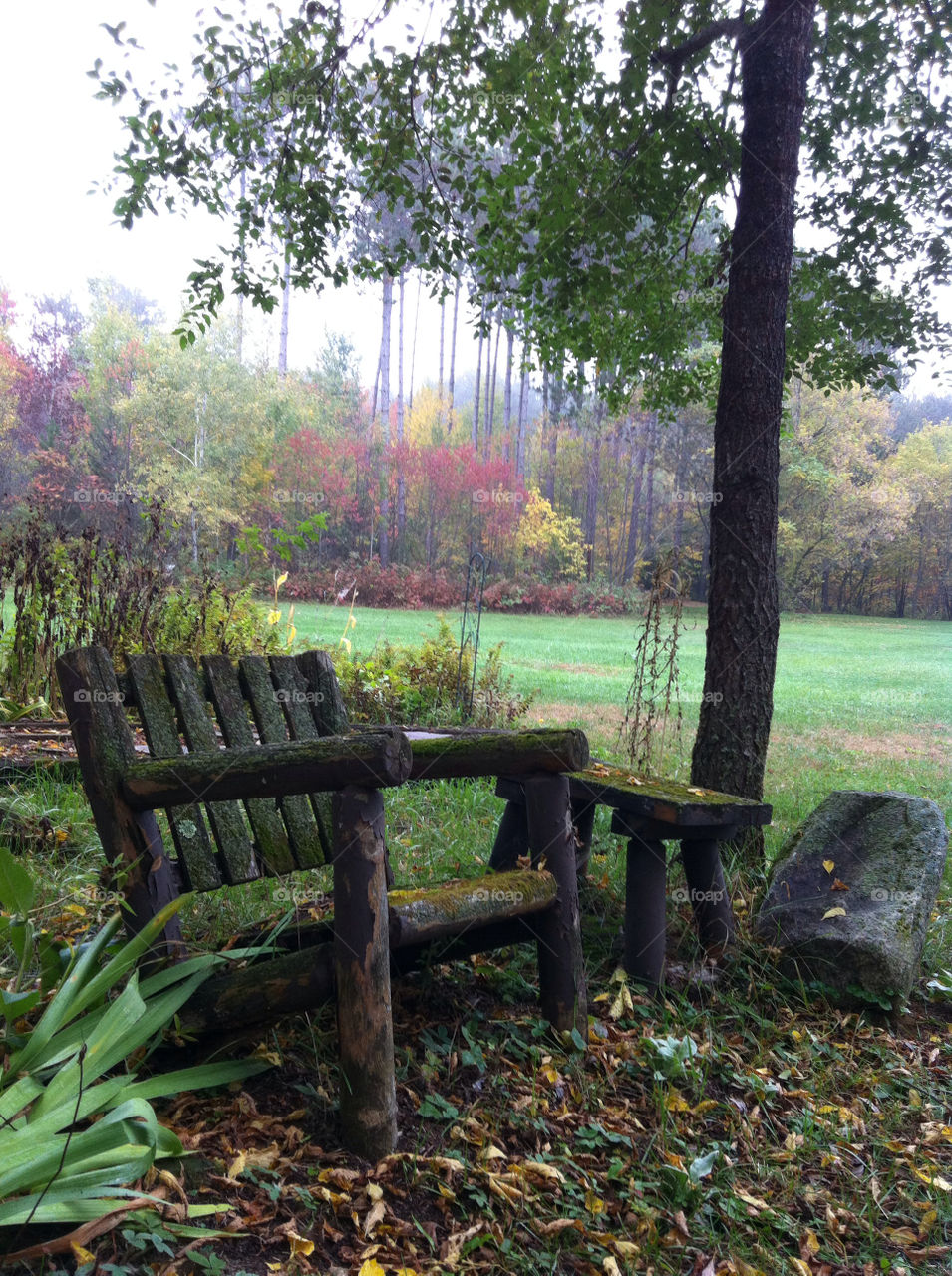garden chair trees park by peacephotos