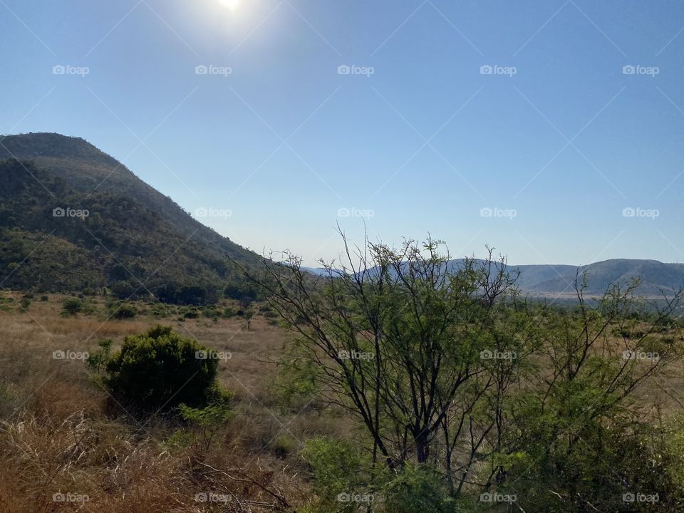 the beauty of the animals home that create a clear relaxing fantasy and enthusiasm 