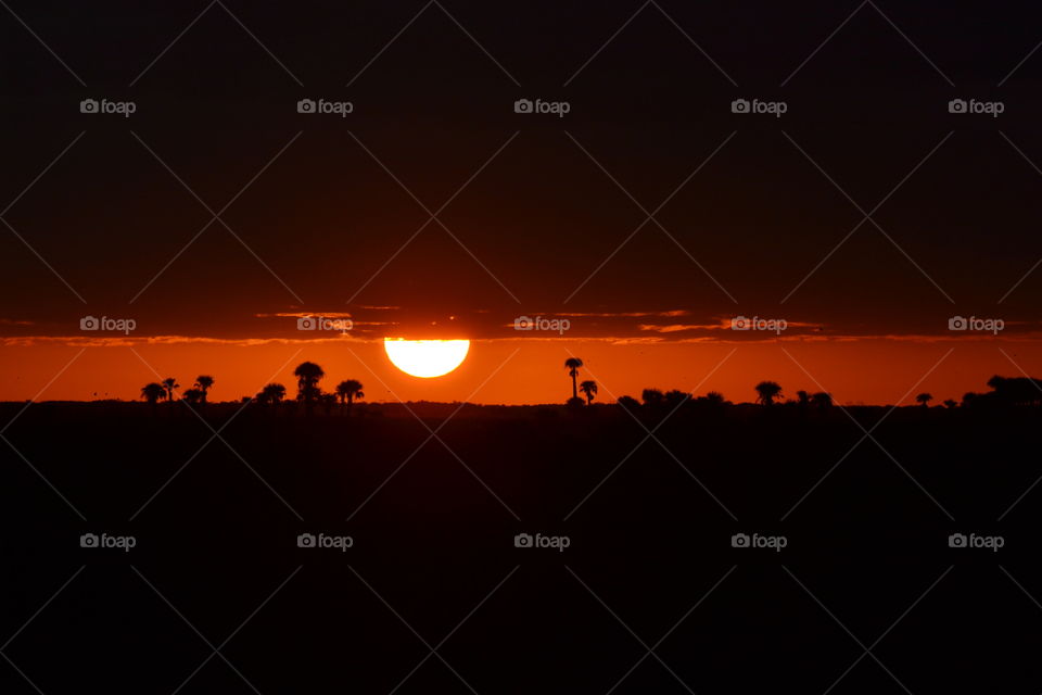 The sun setting low in the orange sky between a black cloud and the silhouette of palm tress