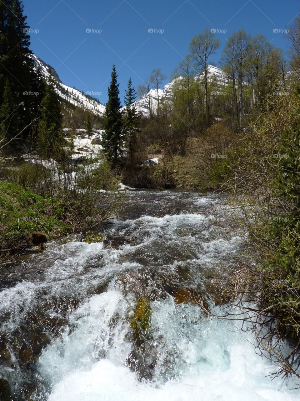 babbling Brook in Colorado's mountains