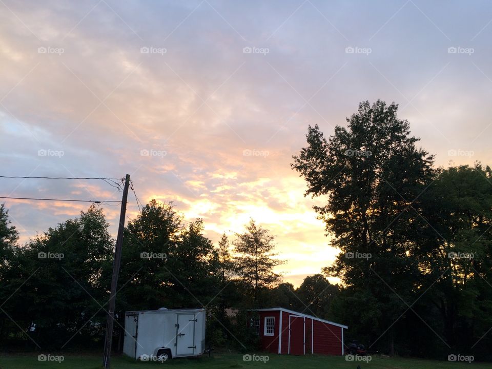 Tree, Landscape, No Person, Outdoors, Sky