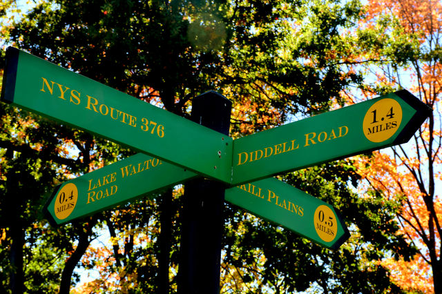 Which way do I go??