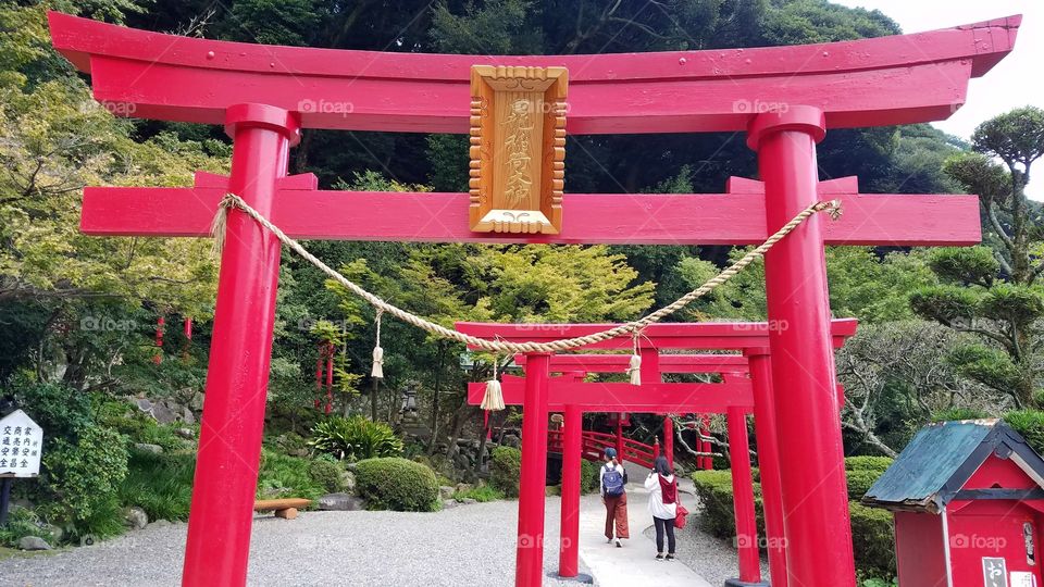 Red torii gates, Japan