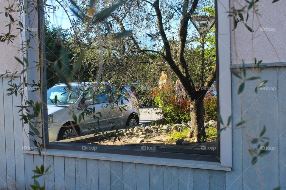 A view of the mirror, which reflects a yard with greenery and parking car.