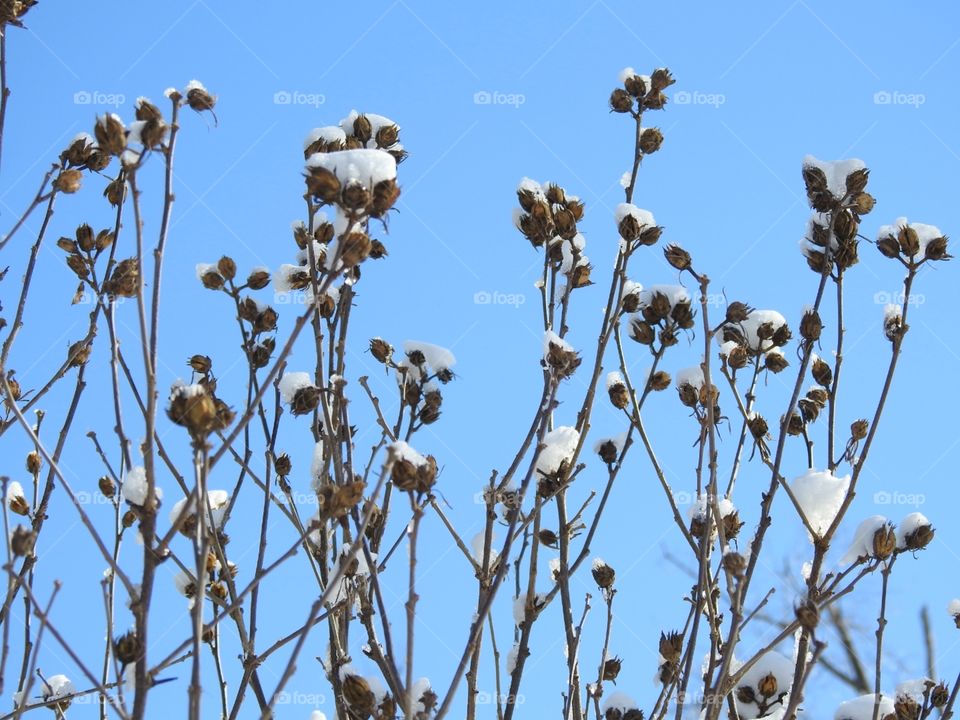 baby it's cold outside