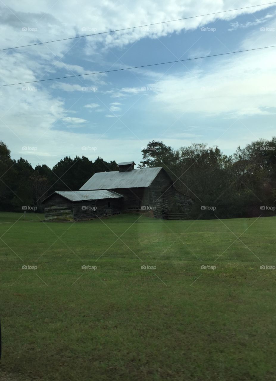 Barn in the field