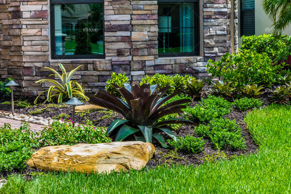 Landscaping with a variety of vibrant colors and plants 