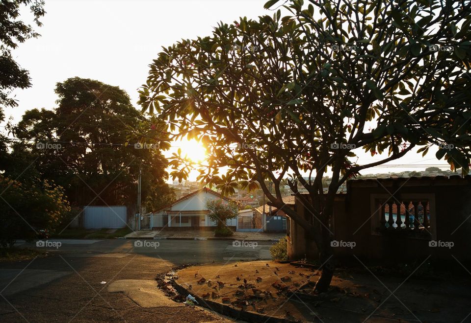 Shadows of the square