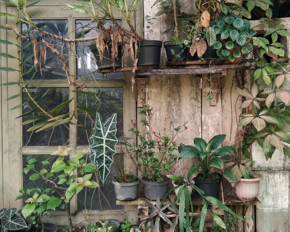 garden design with wooden window