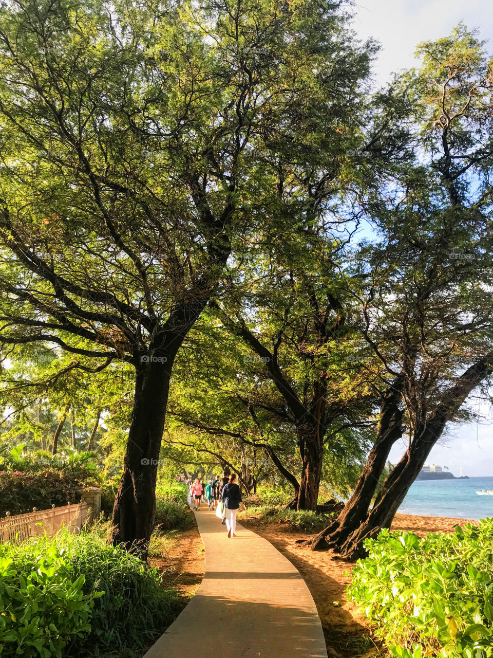 Maui beach path 