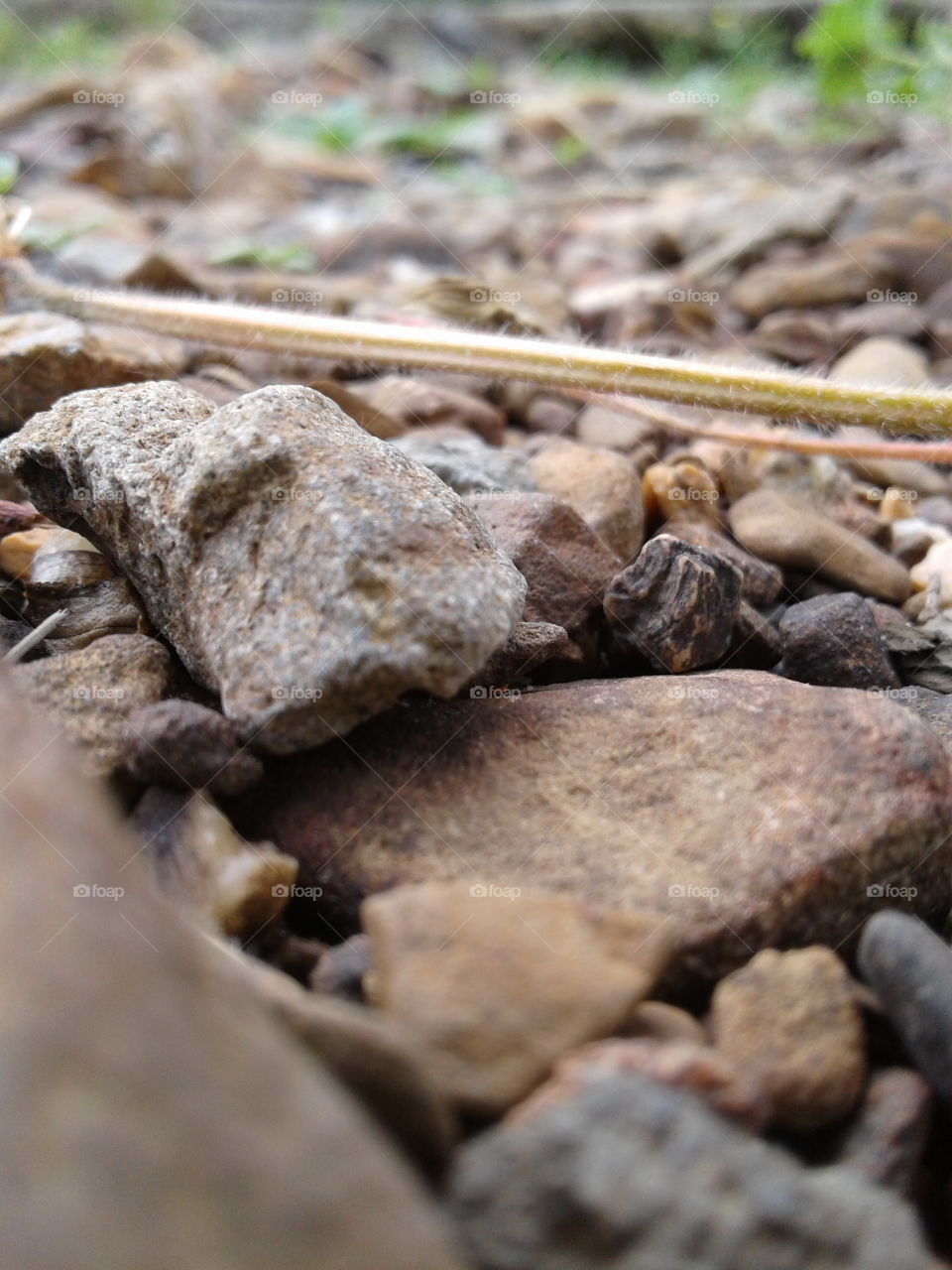 natural pathways, closeup sandstone path