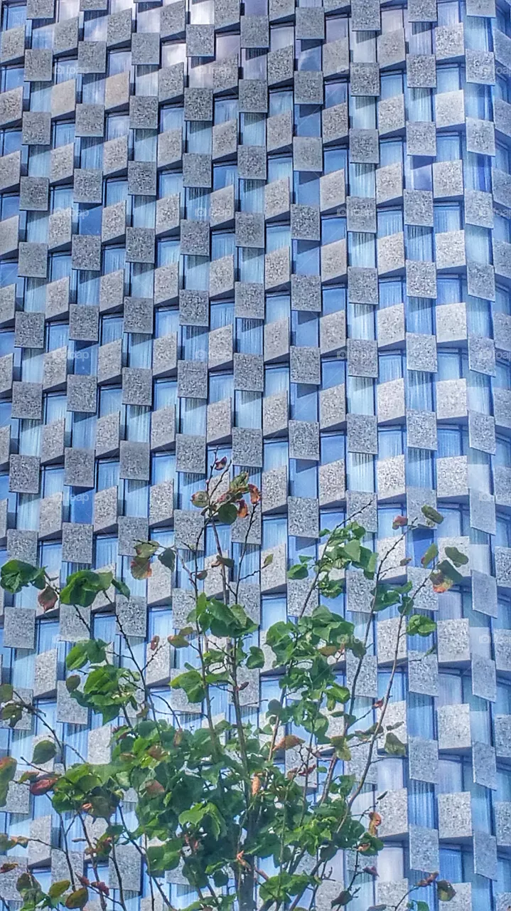 Blue Windows