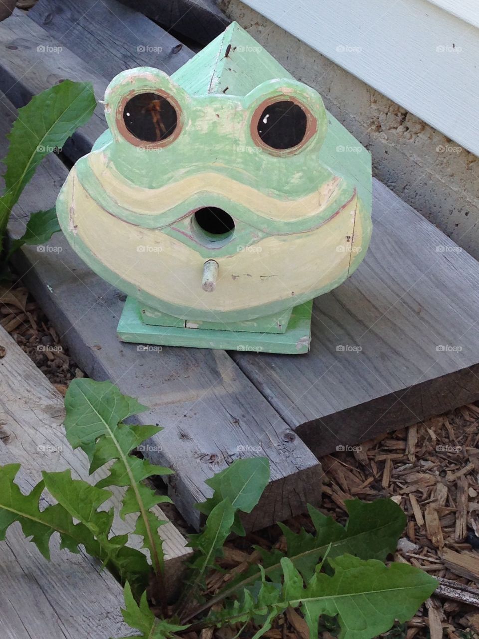Froggy Birdhouse