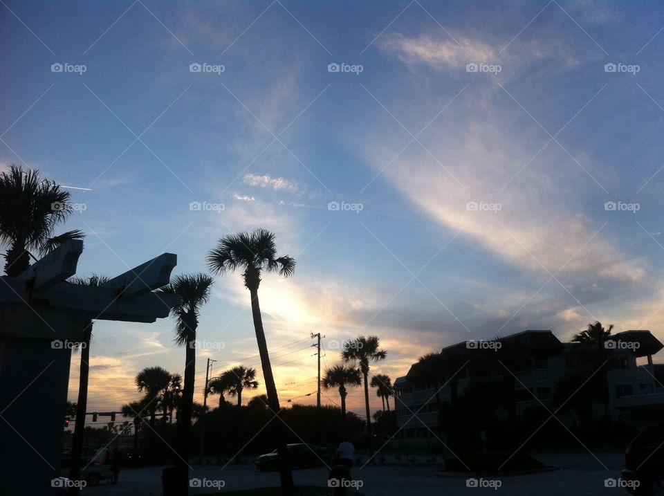 Palm tree sunset. I took this picture on the beach facing the road and I saw this and had to take a picture 
