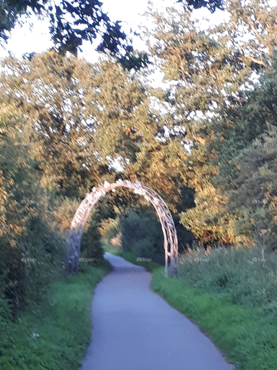 Woodland Arch