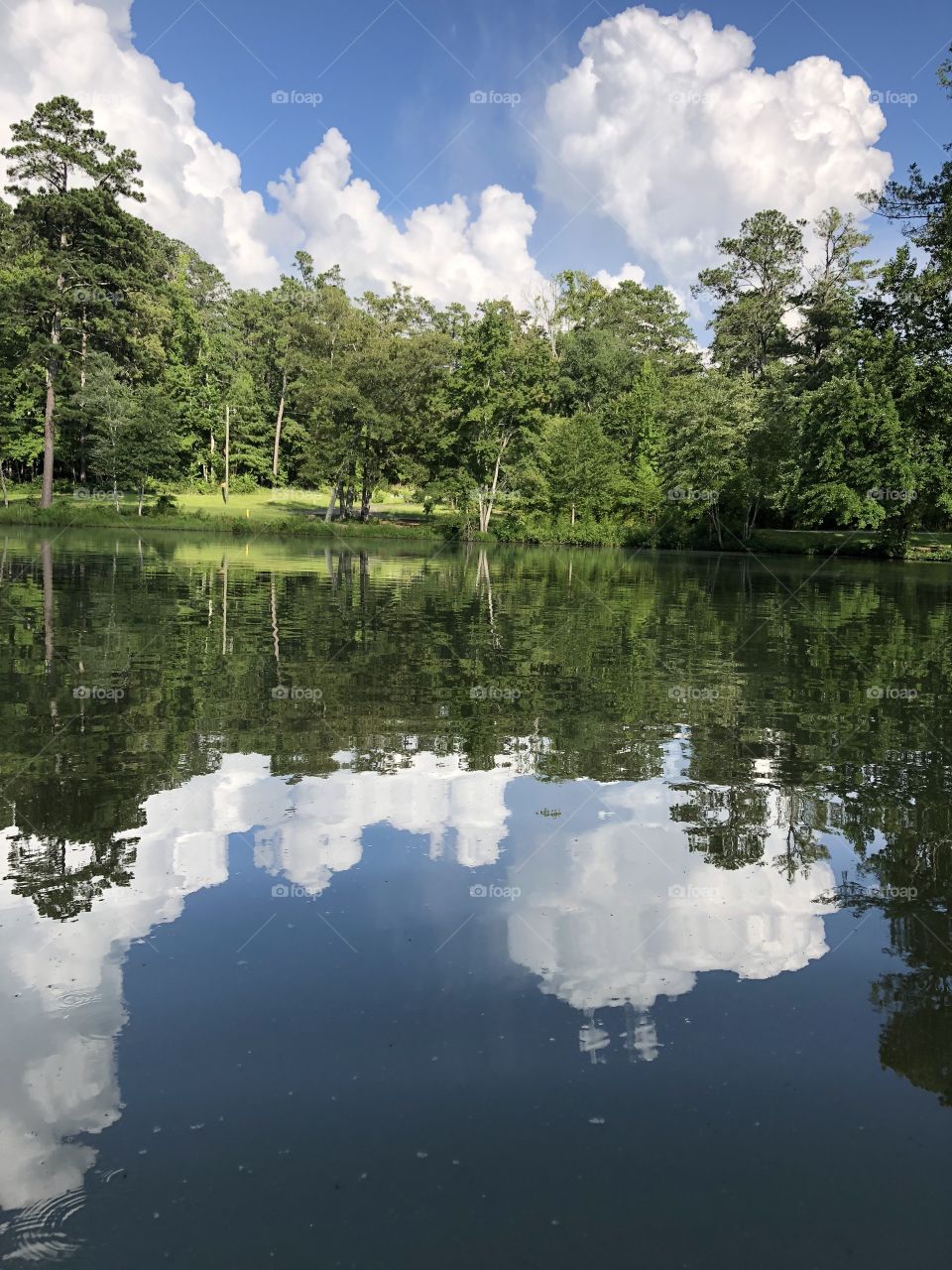 A quiet, reflective cove can soothe the savage spirit, the best of a summer’s day is the times spent with my beloved husband. 